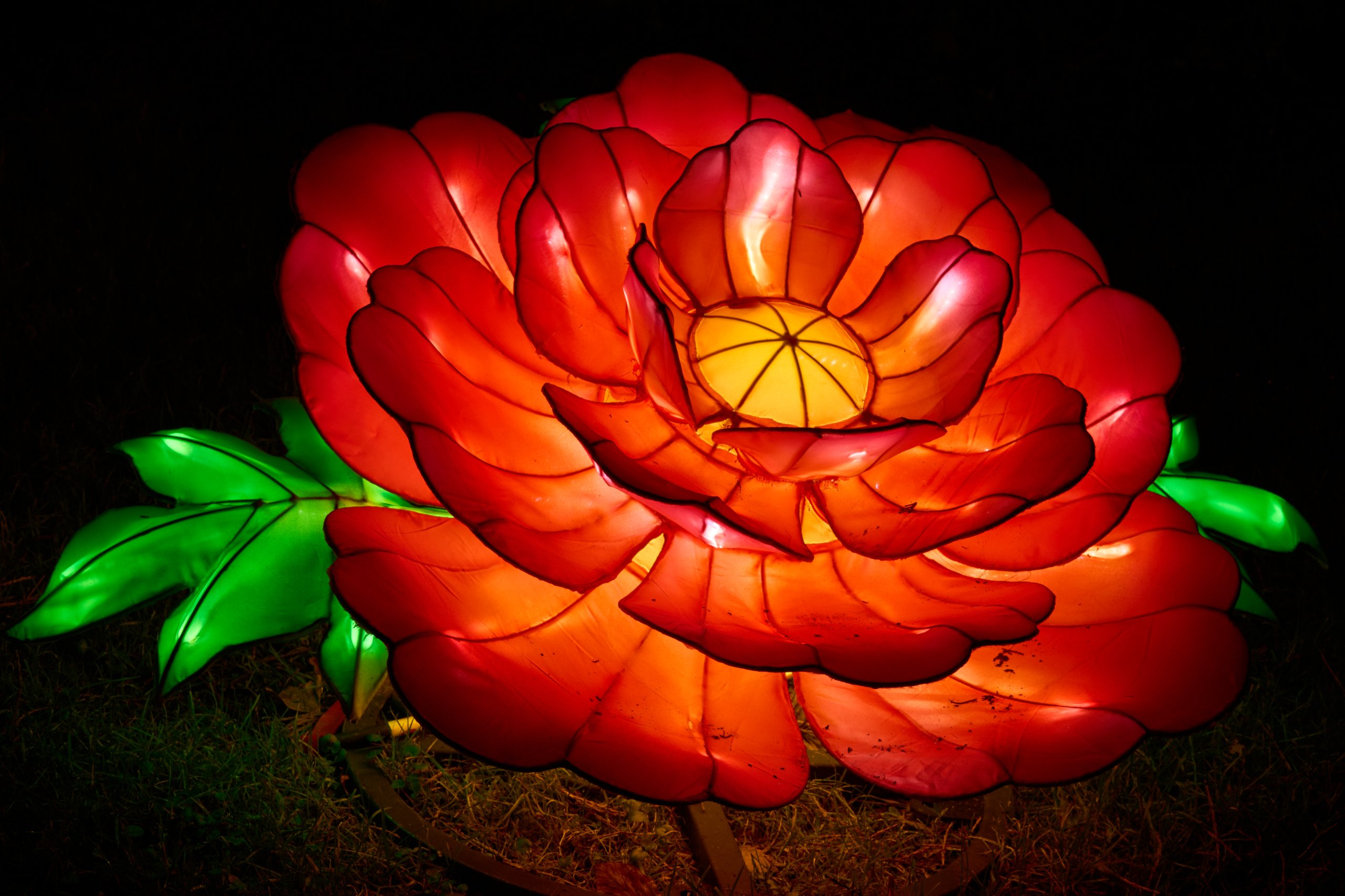 2026 02 03 Parkleuchten 0286